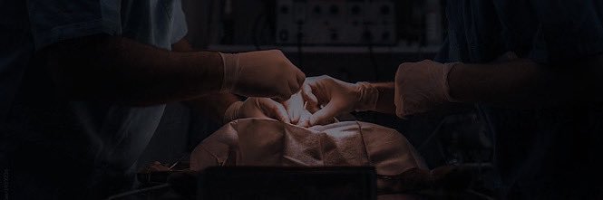 n8llli's profile banner image