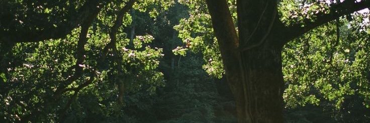 ezgiftlr's profile banner image