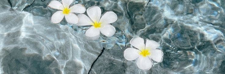 _Rochicabrera's profile banner image