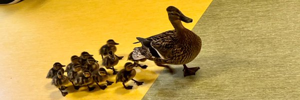 SutterMonarchs Profile Banner