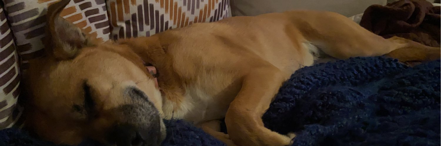 CourtneyBabe2's profile banner image