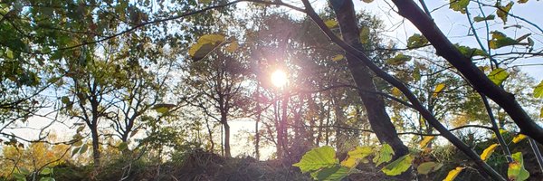 OdenbachWitt Profile Banner