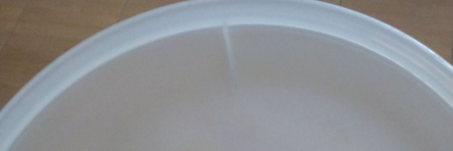 CapoeiraWA's profile banner image