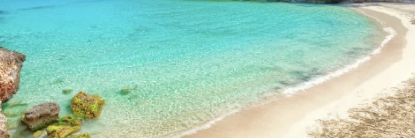 rayang54's profile banner image