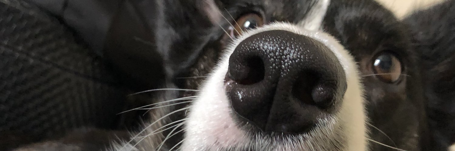 latimberg's profile banner image