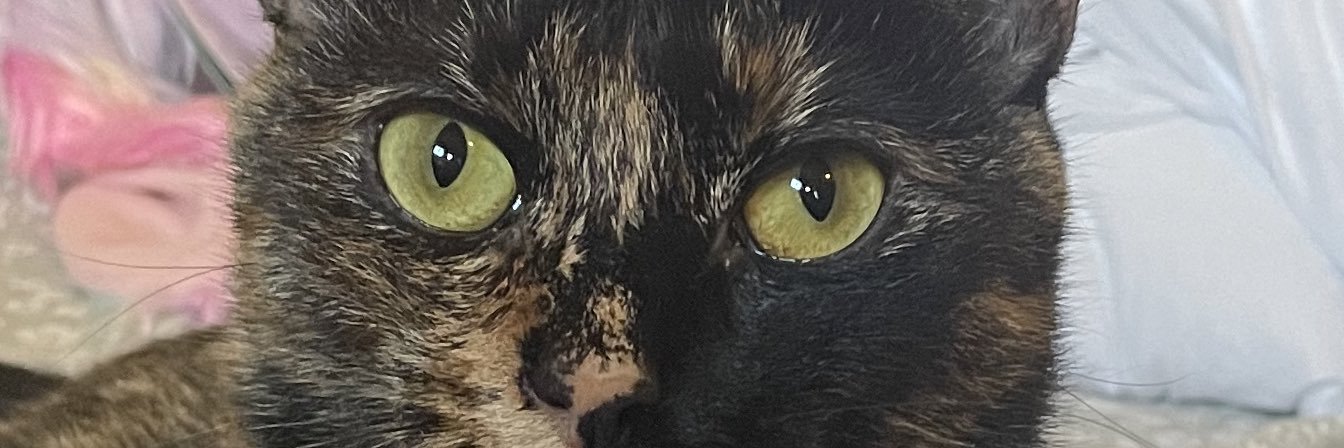 lilpuffmd's profile banner image
