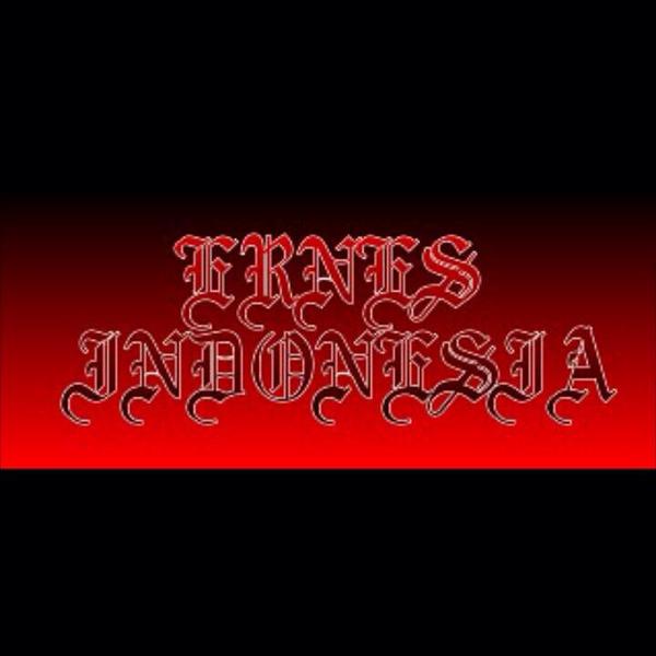 Ernes_OFC's profile banner image