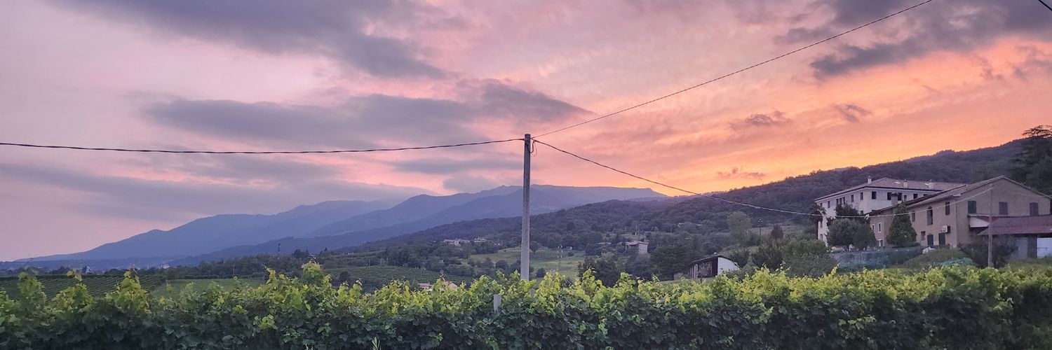 Sheila Colla, Ph.D banner