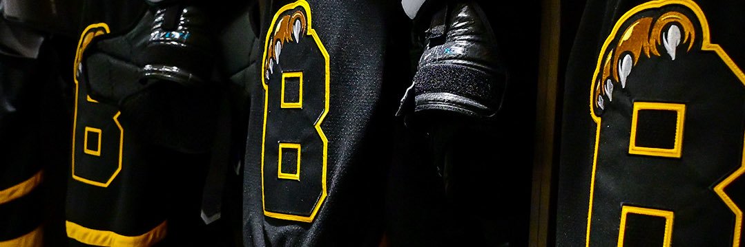 TheBusHyman's profile banner image