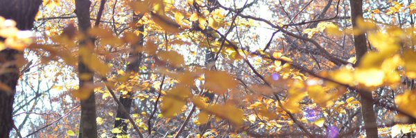 Meritxellcastro Profile Banner