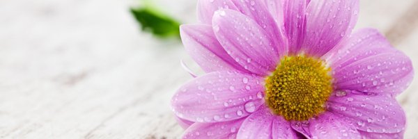 CamillaLB's profile banner image