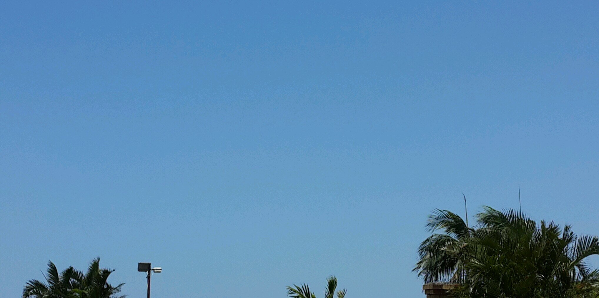 Marvin Norman banner