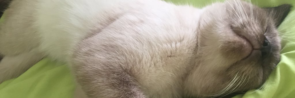 danybrr's profile banner image