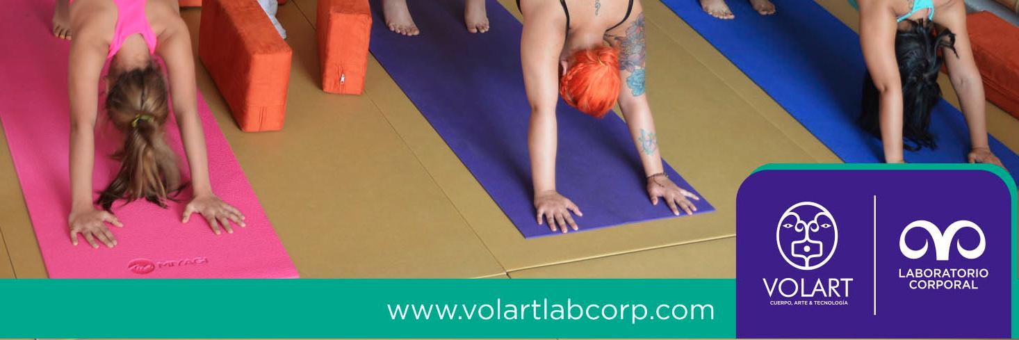 volartlabcorp's profile banner image