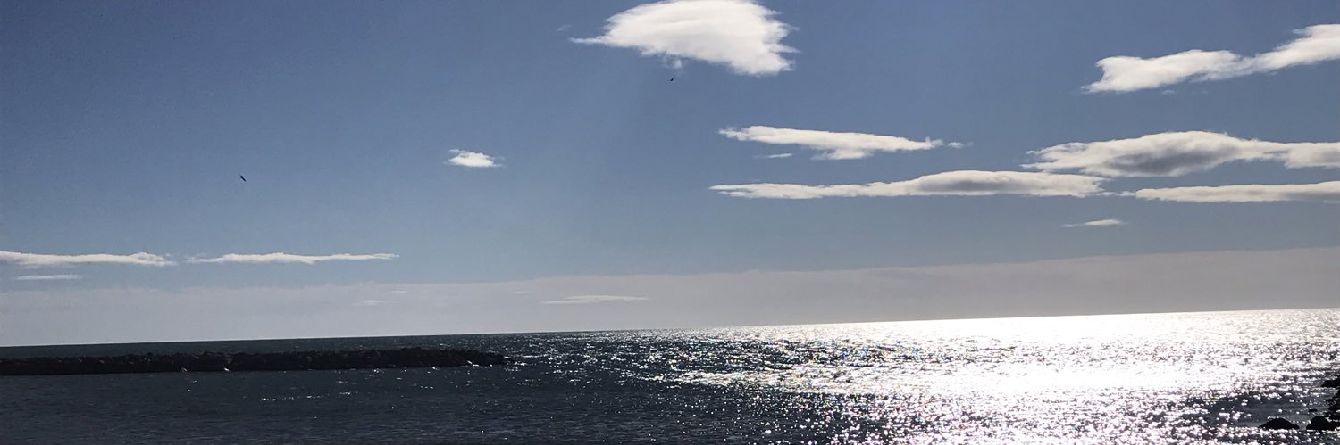 YogiNancy's profile banner image
