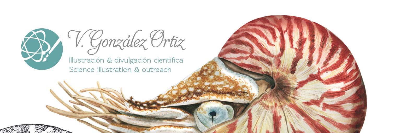vgonzalezortiz's profile banner image
