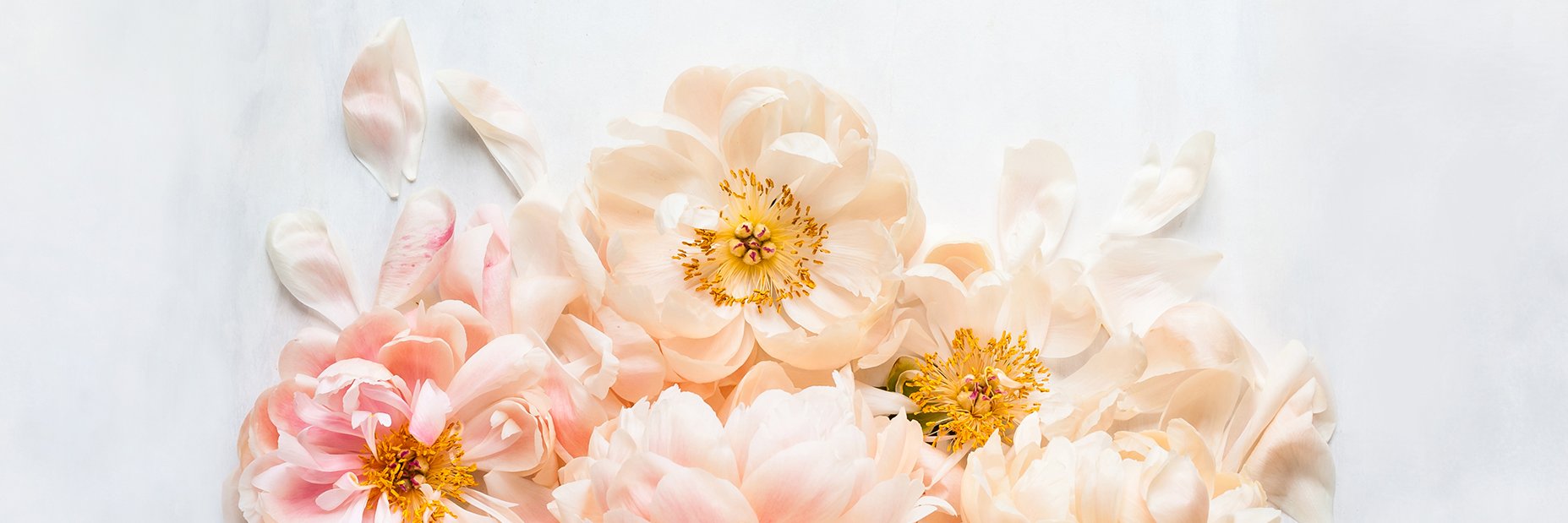 caragraeff's profile banner image