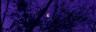davidrivera5489's profile banner image
