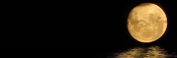 cocoTapalque's profile banner image