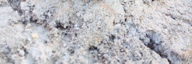 TonSessi's profile banner image