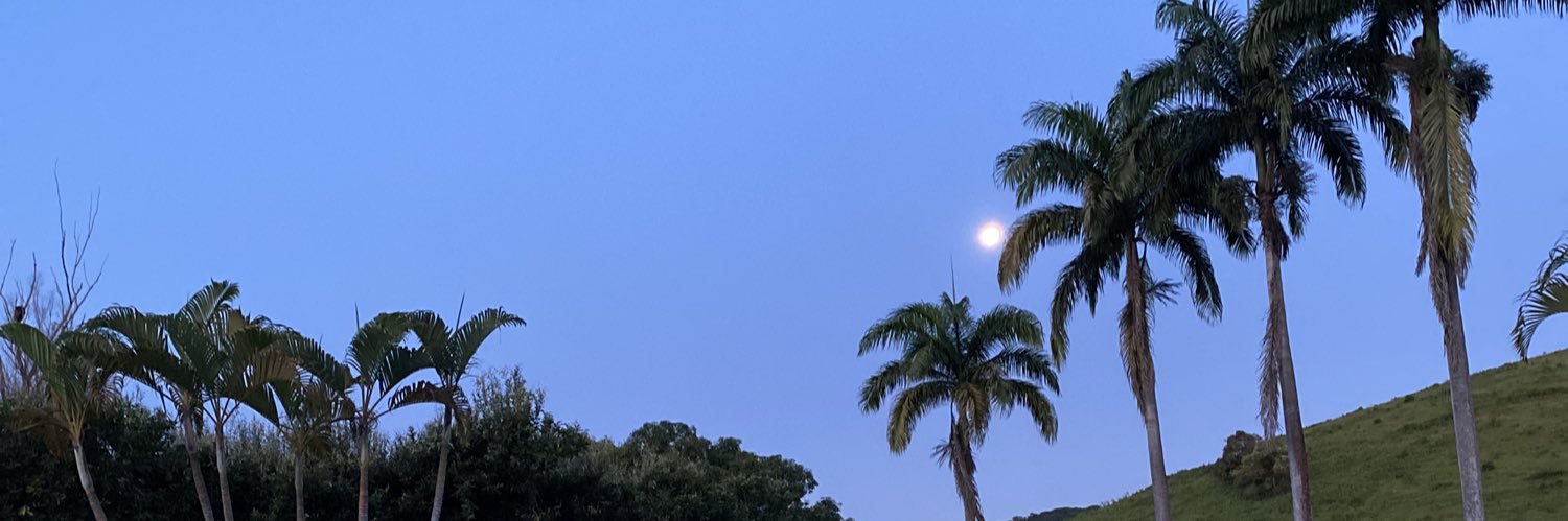quelridaa's profile banner image