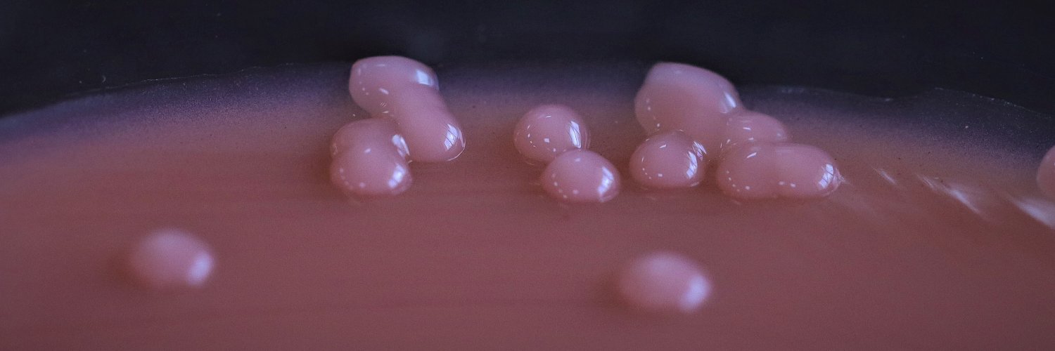 UbitlaBitla's profile banner image