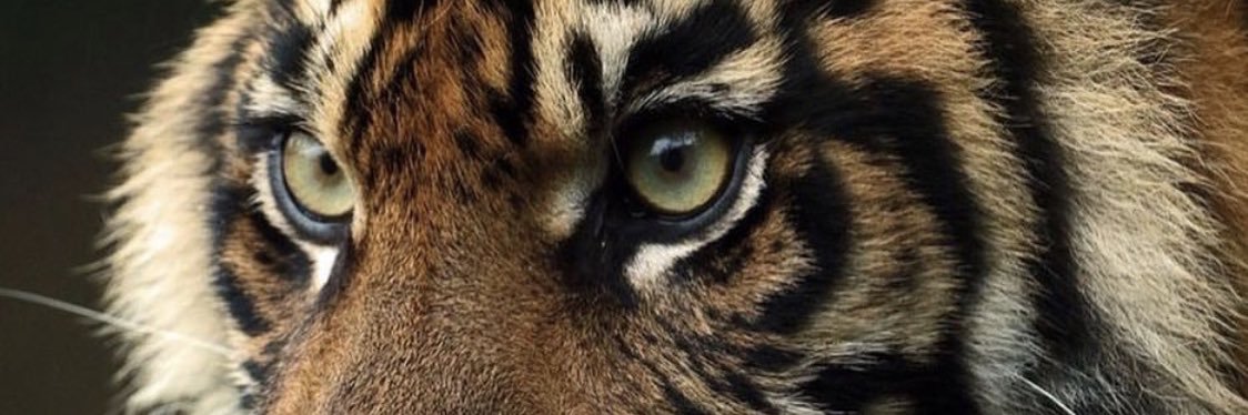 miriamblnc_'s profile banner image