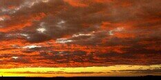 Nerea Siles banner