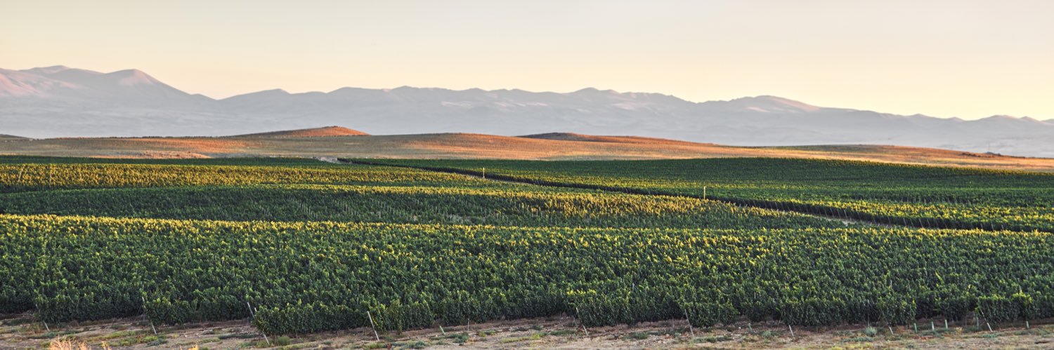 karaswines's profile banner image