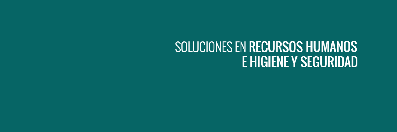 salixconsultora's profile banner image