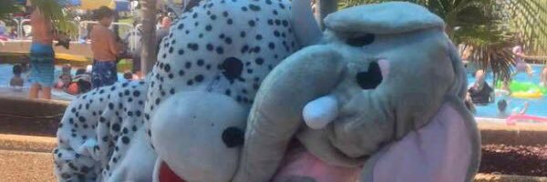 shirel_tabibi's profile banner image