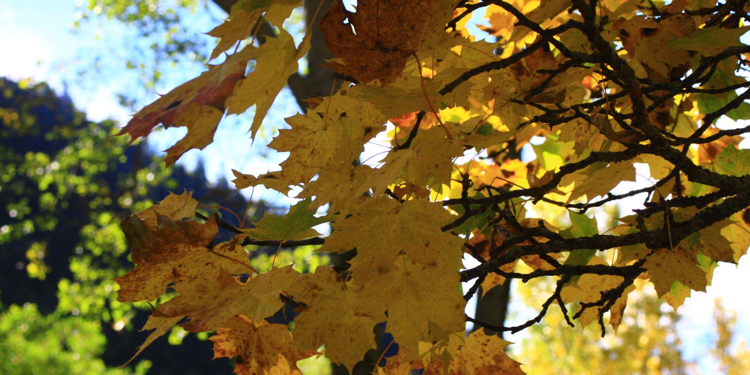 jpmarttor's profile banner image