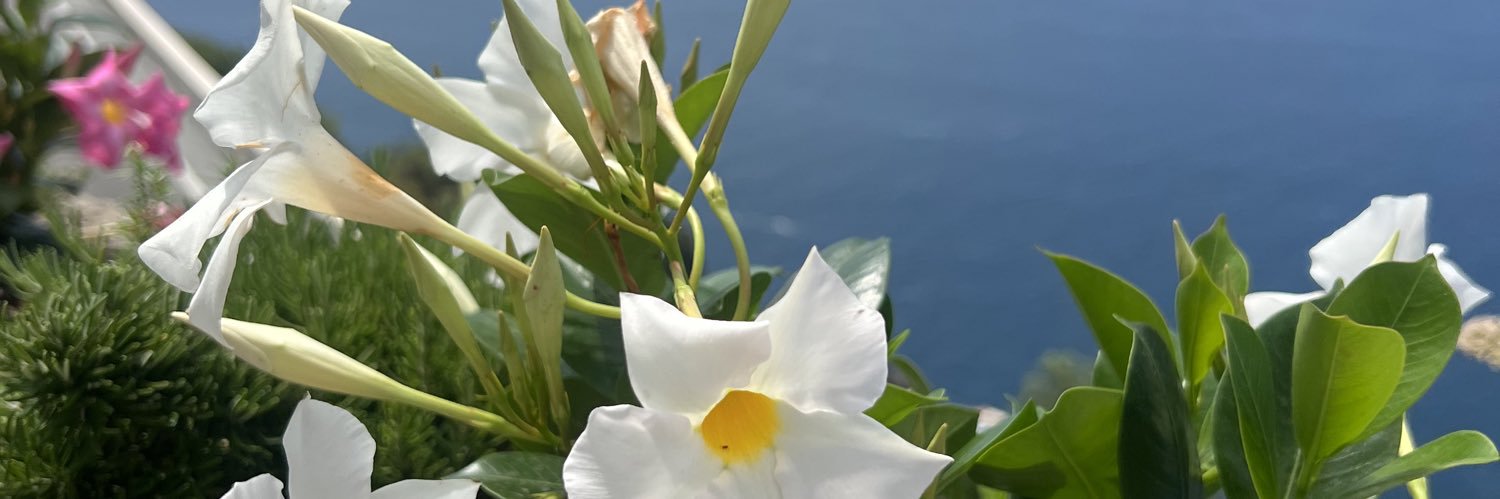 anny_helena's profile banner image
