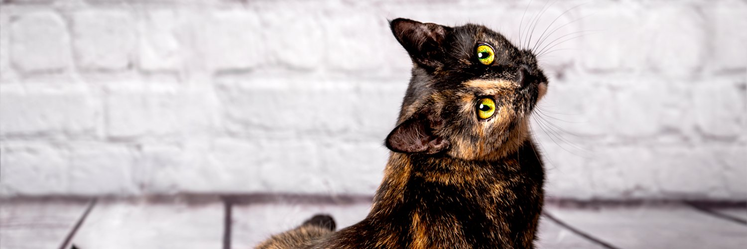 Reflektierend's profile banner image