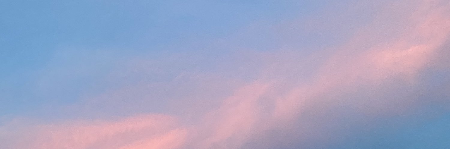 breemaejor's profile banner image