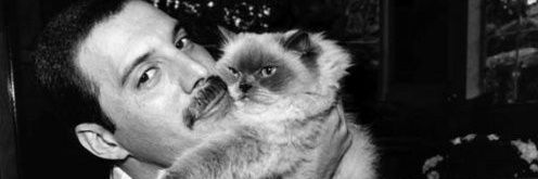_Luuulaa_'s profile banner image