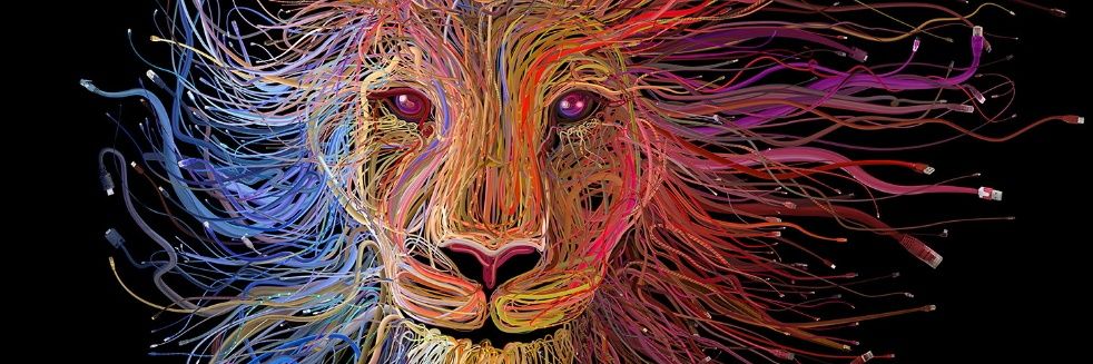 thesofiakoo's profile banner image