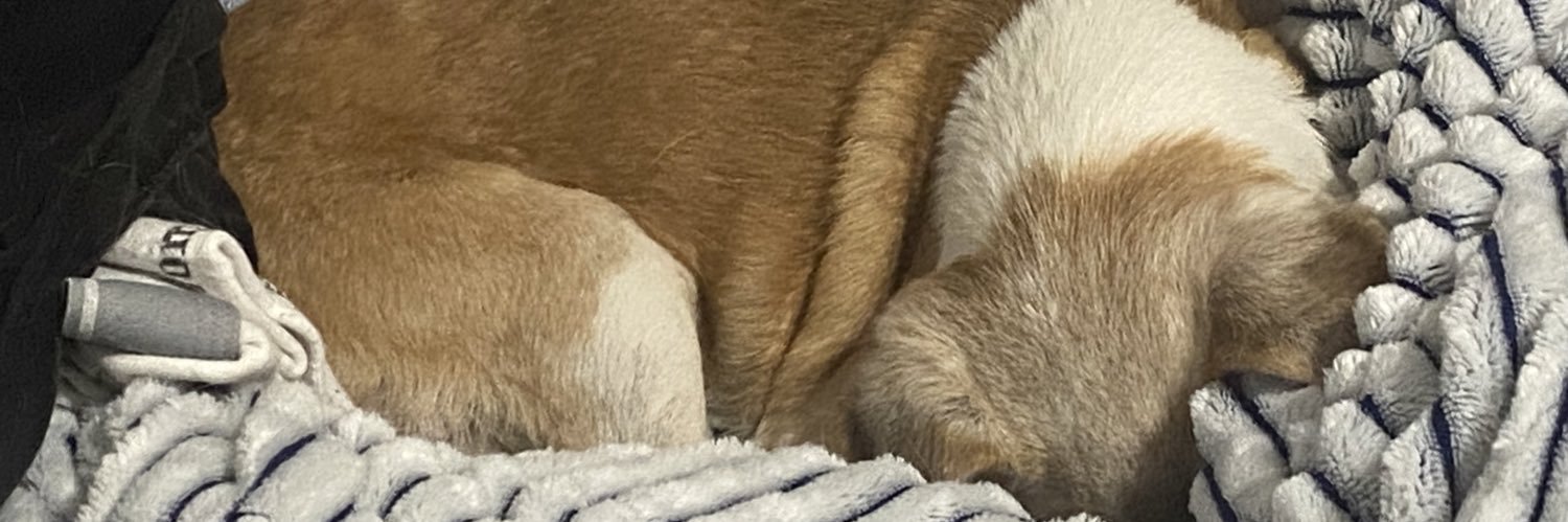 KLICKSSSS's profile banner image