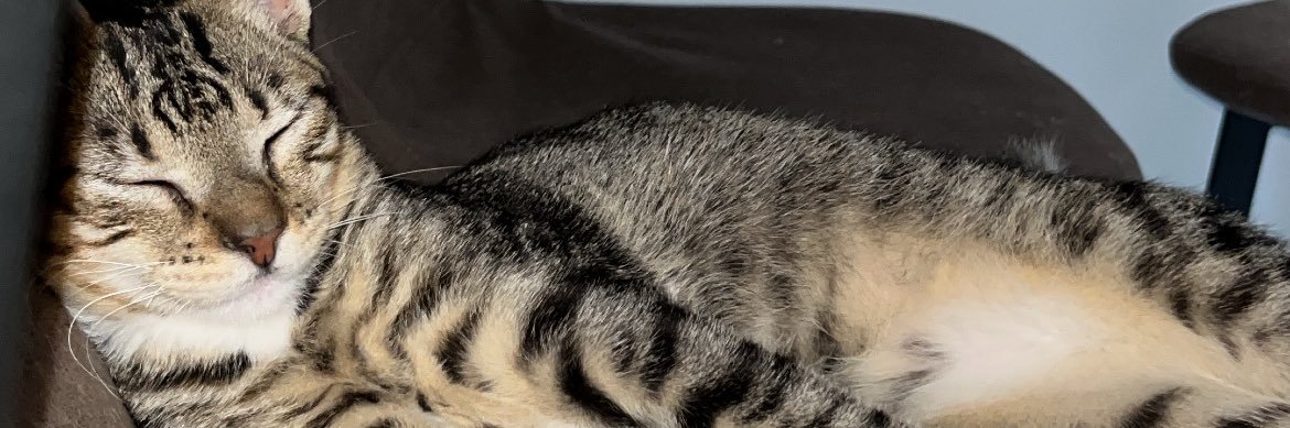 julimaltaach's profile banner image