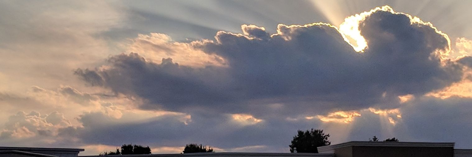 true2myselfHart's profile banner image