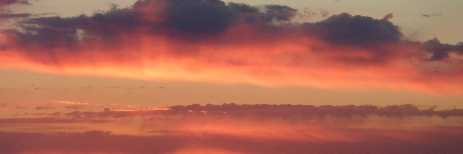 drafeedie's profile banner image