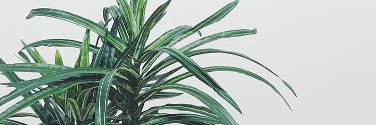 96chanrii's profile banner image