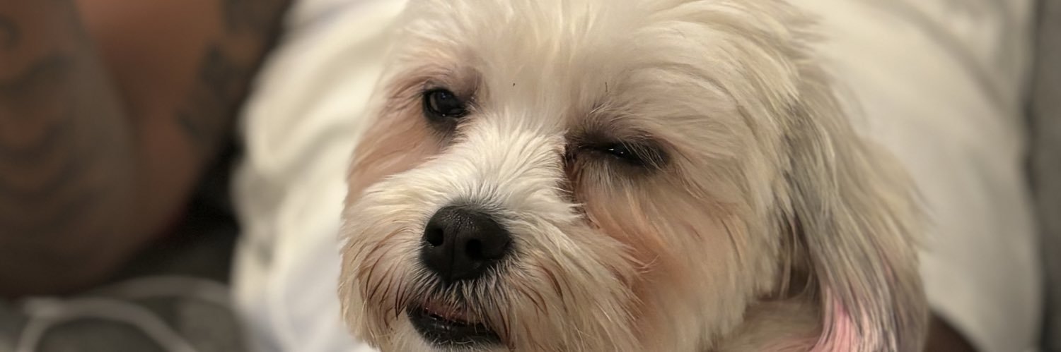 kaaybundles's profile banner image