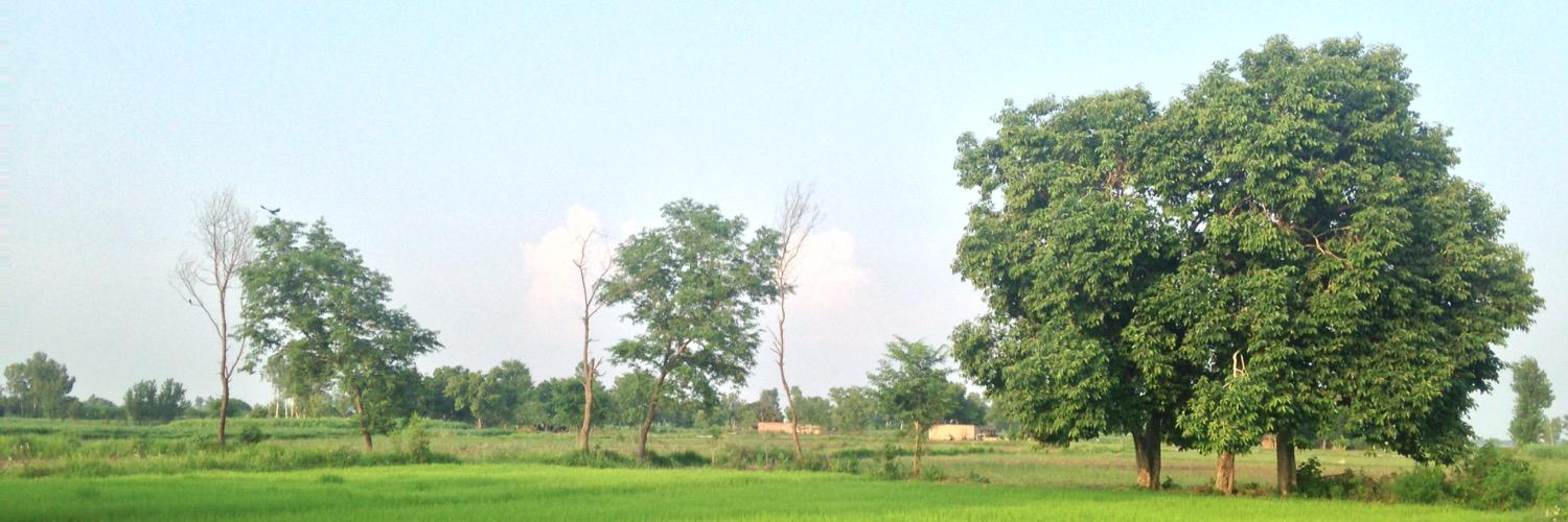 chauhadry11's profile banner image