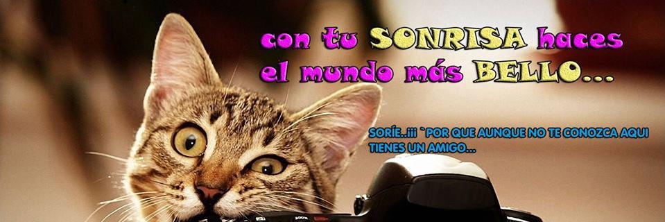 TextDiario's profile banner image