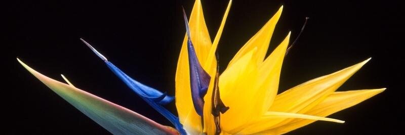 CarZales22's profile banner image