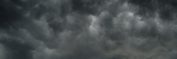 rogueneiner's profile banner image