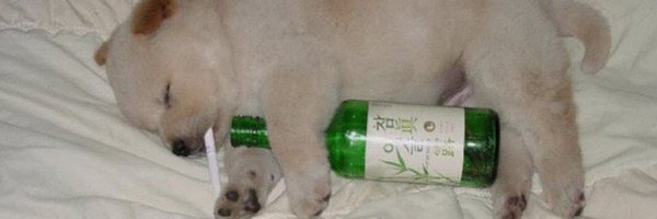 SpoonVlr Profile Banner