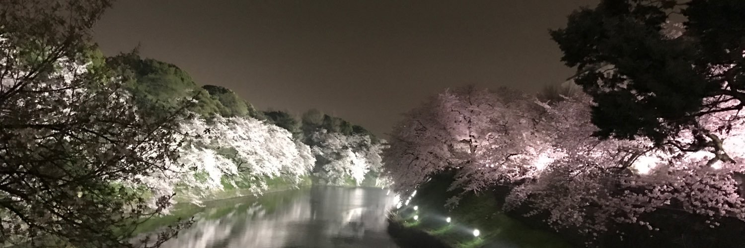 rr_occhi's profile banner image
