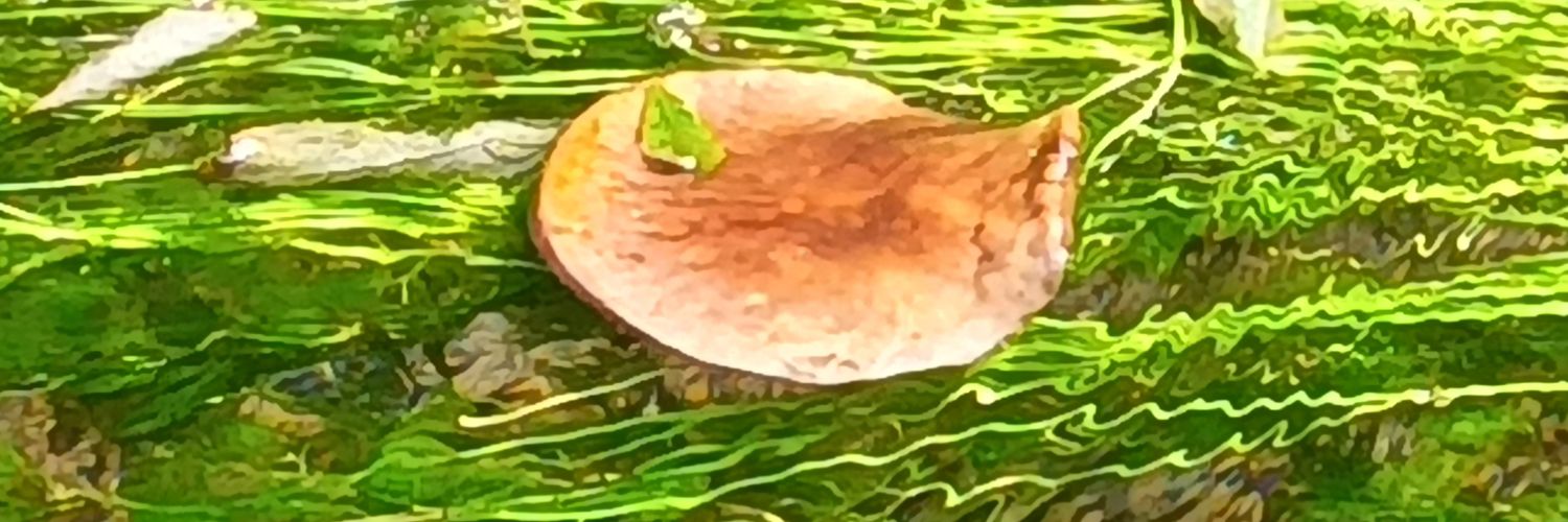 osamu_uke2's profile banner image